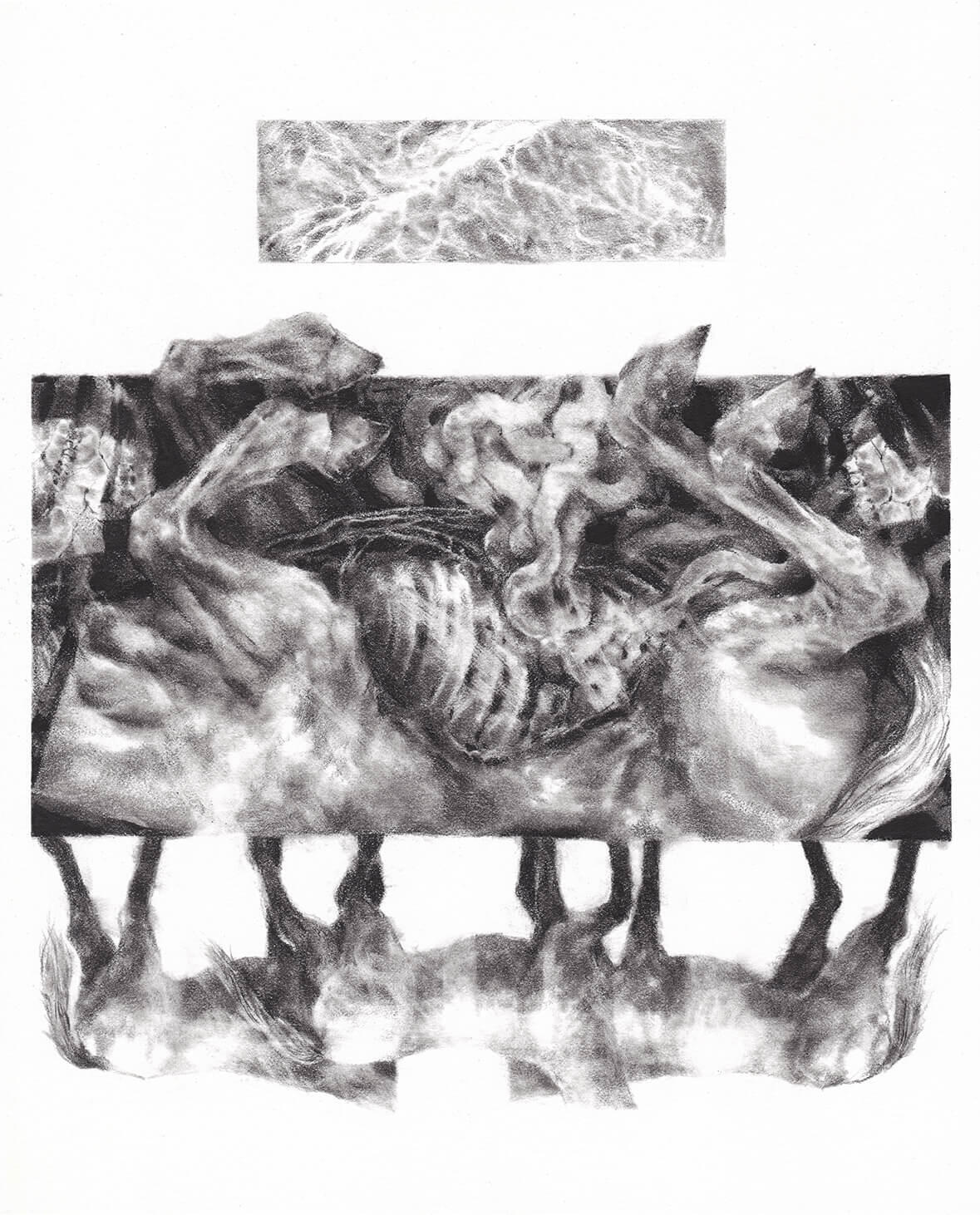 glue/dream II. graphite on paper
