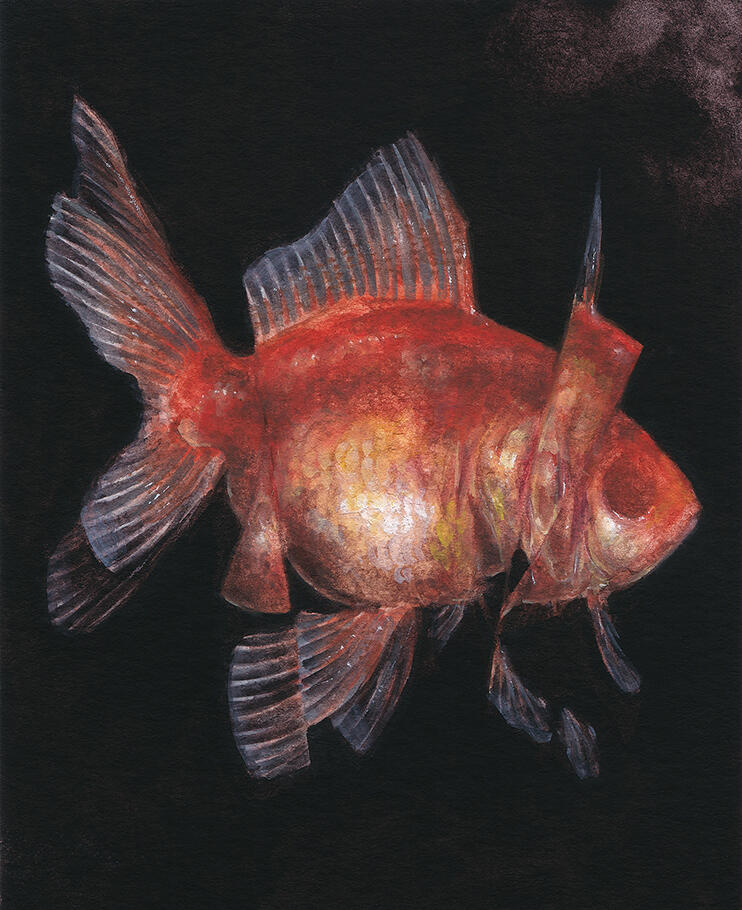 fish. gouache watercolor