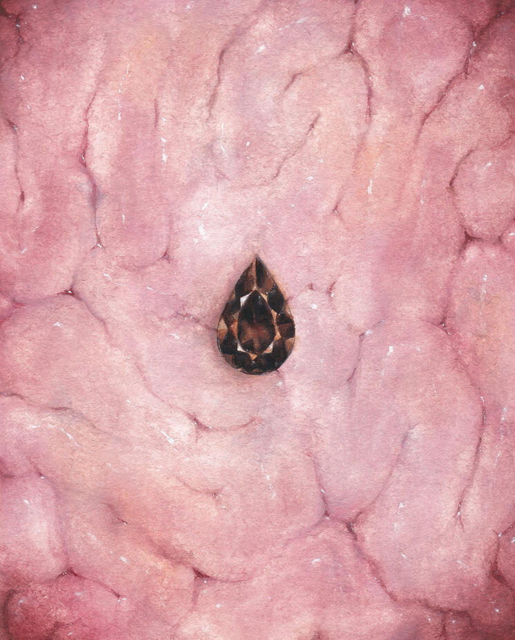 dianoia. gouache watercolor