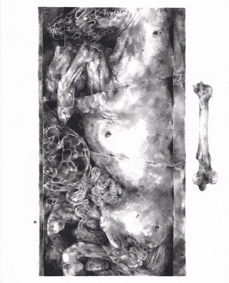 glue/dream. graphite illustration